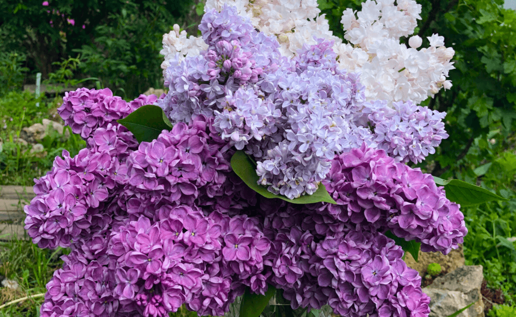 Таня, випробування, які їй підготувало життя і Щастя після 50-ти