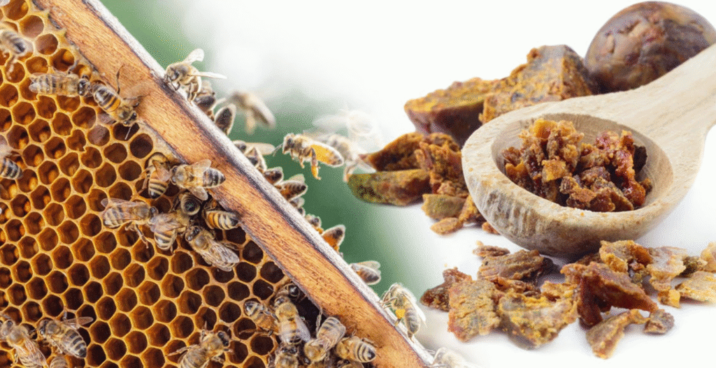 Прополіс — природний помічник для здоров’я