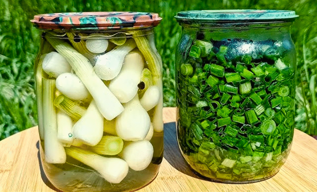 Зелена цибуля на зиму! Консервація зеленої цибулі