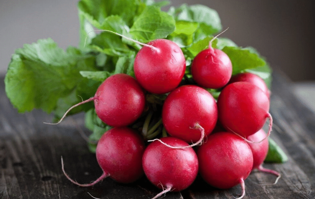 чим корисна редиска