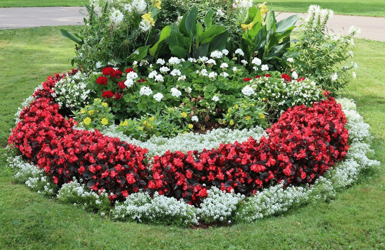 Квіти біля дому: що посадити, щоб було гарно, просто й без зайвого клопоту