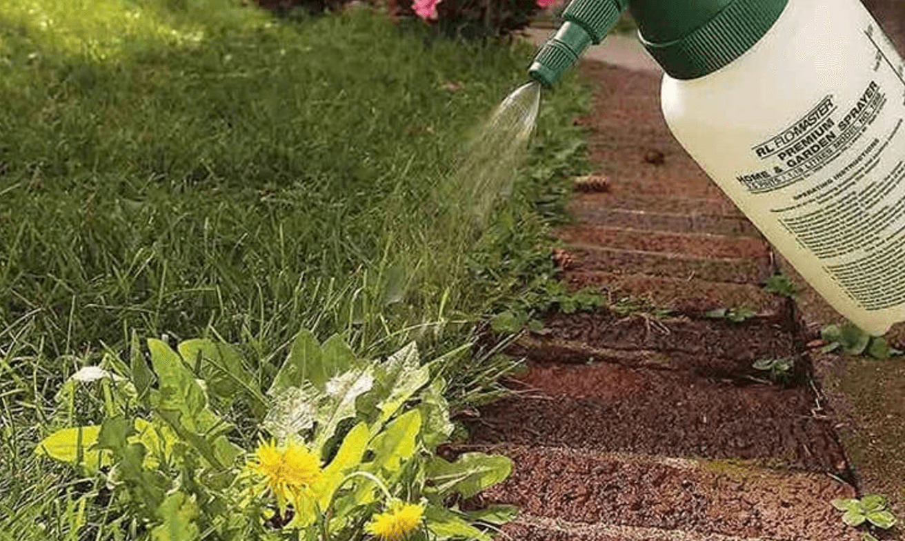 6 ефективних та безпечних способів боротьби з бур'янами на дачі