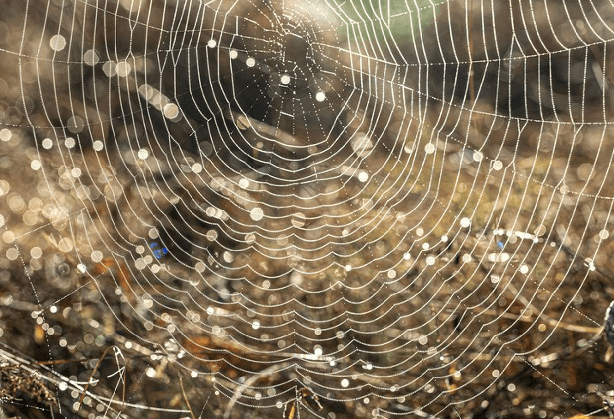 Городні забобони: 5 дивних порад, у які вірять досі (і чому це не працює)