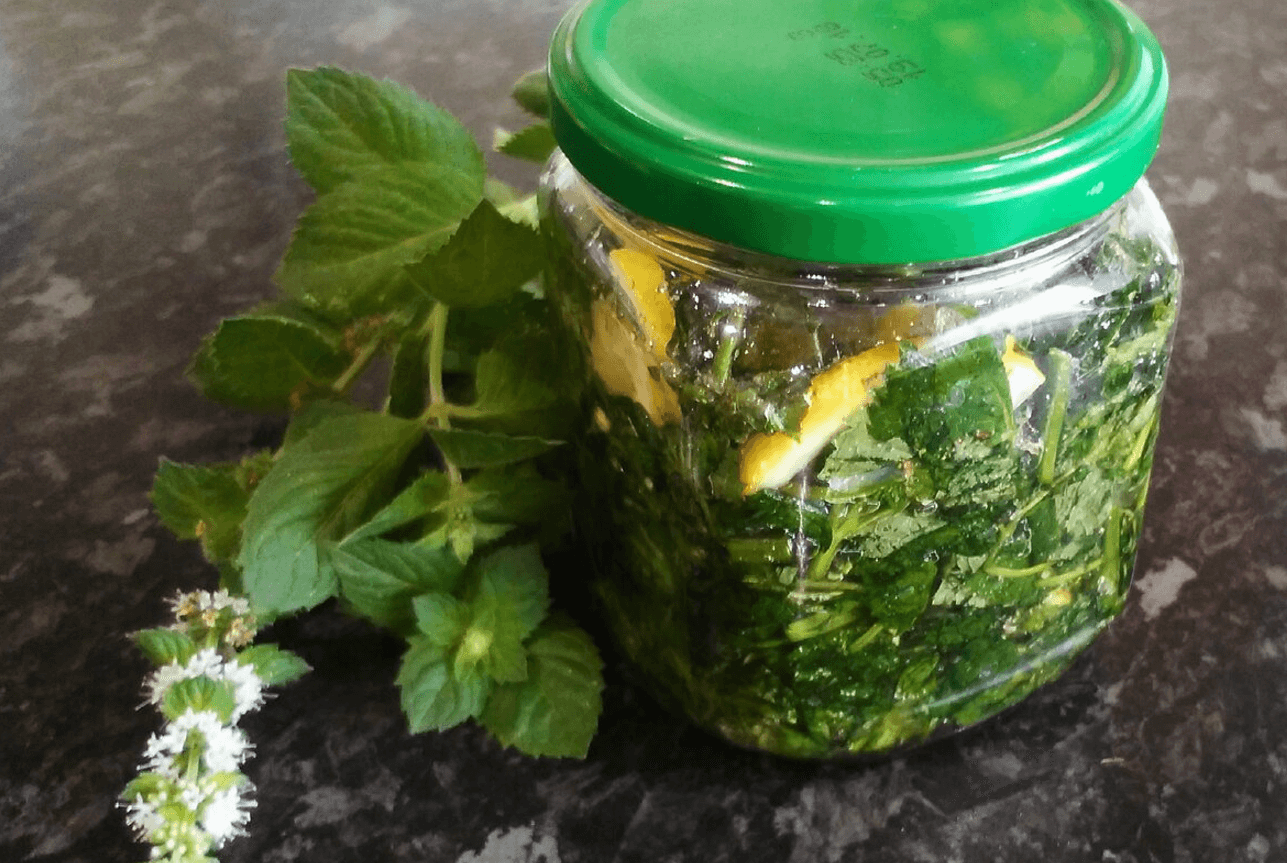 Заготуй м’яту правильно - і взимку забудеш про аптеки! Секрети бабусиних методів, що працюють і досі