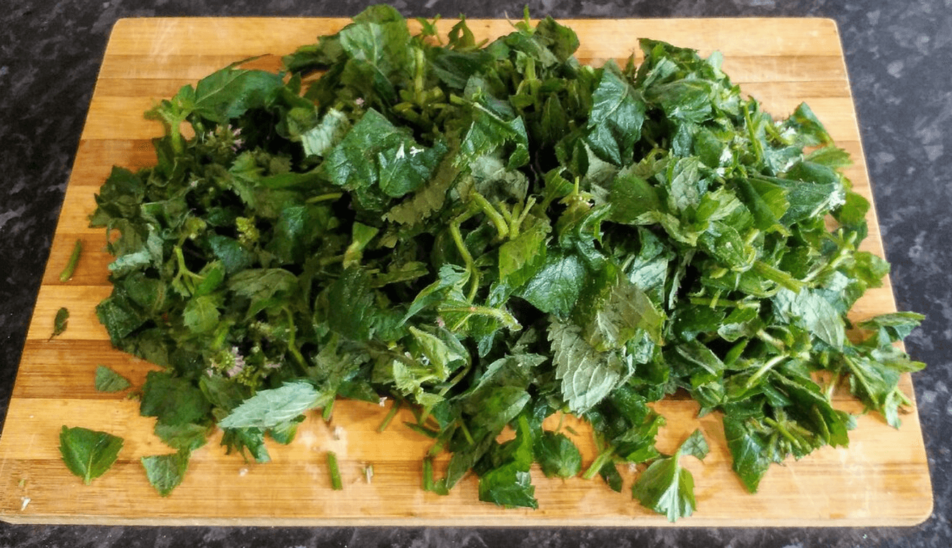 Заготуй м’яту правильно - і взимку забудеш про аптеки! Секрети бабусиних методів, що працюють і досі