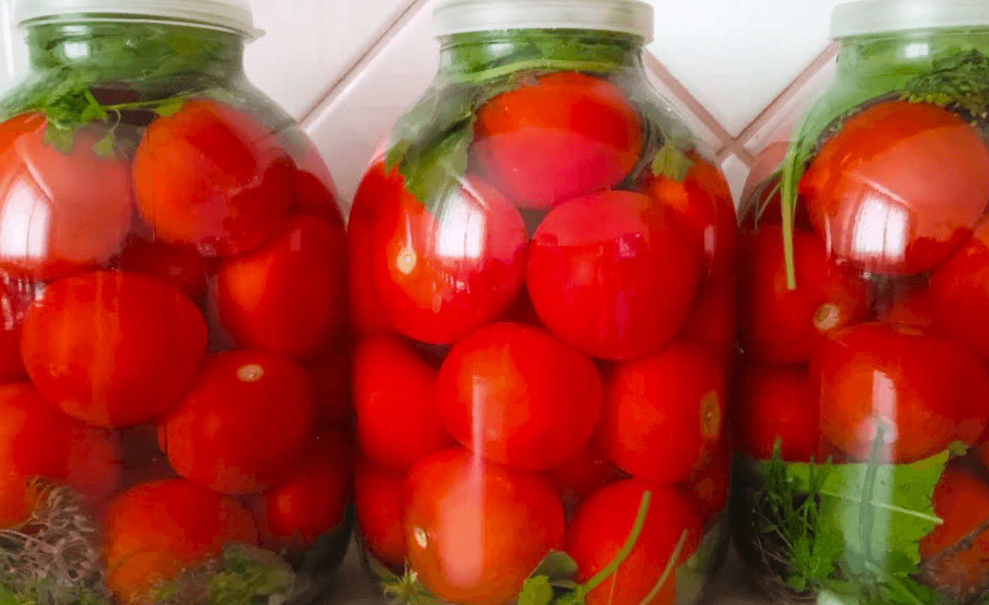 Квашені помідори на зиму! Перевірений роками рецепт, який завжди на 1 місці!