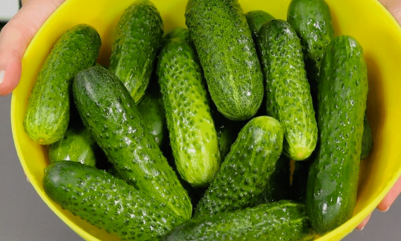 Секрети хрустких огірків для засолювання на зиму: які взяти сорти, спеції, як зробити розсіл