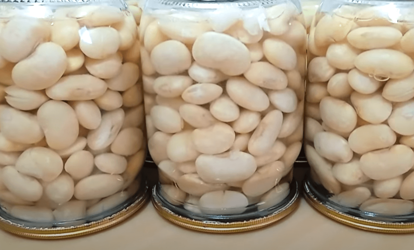 квасоля на зиму