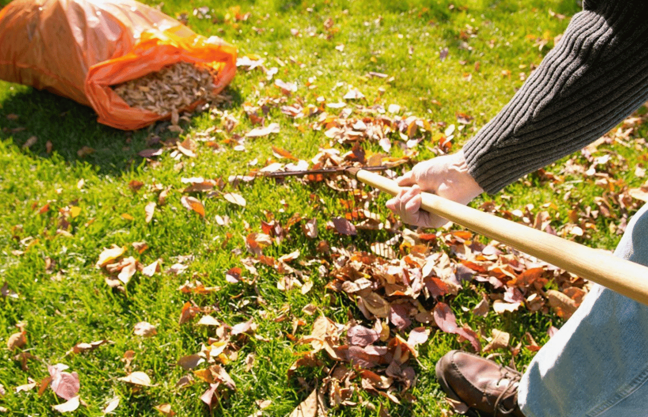 Осінній догляд за садом: чек-лист робіт перед зимою