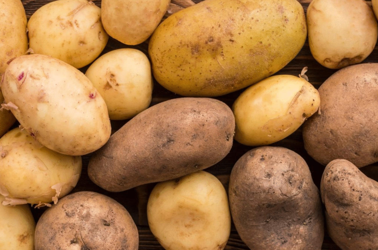 Картопляна міль знищує врожай: прості методи боротьби