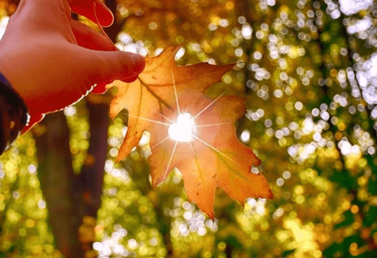 Жовтень здивує! Чи чекати бабине літо цього року?