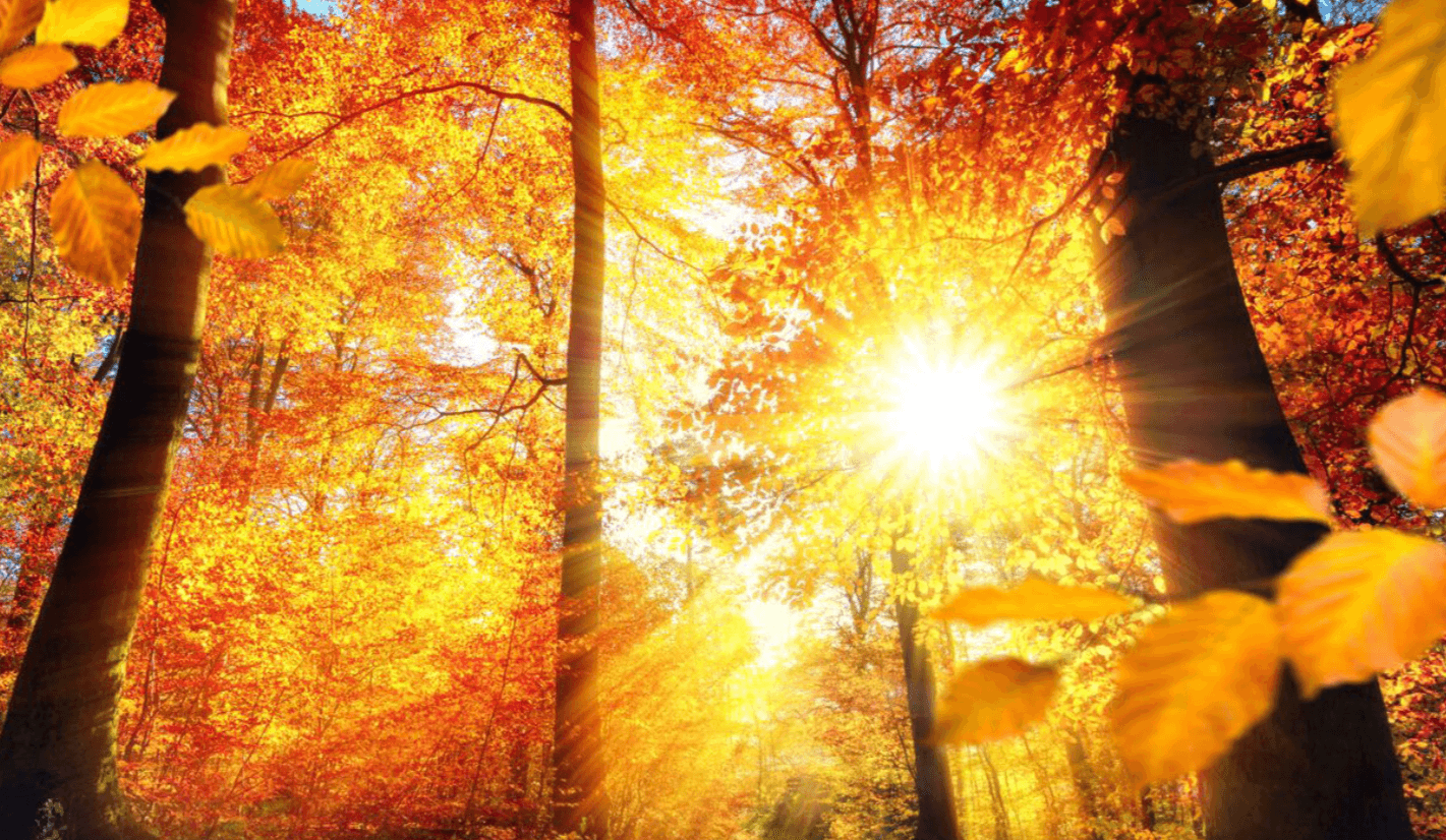 Осіннє рівнодення 2025: чому ніколи не можна позичати гроші 22 вересня