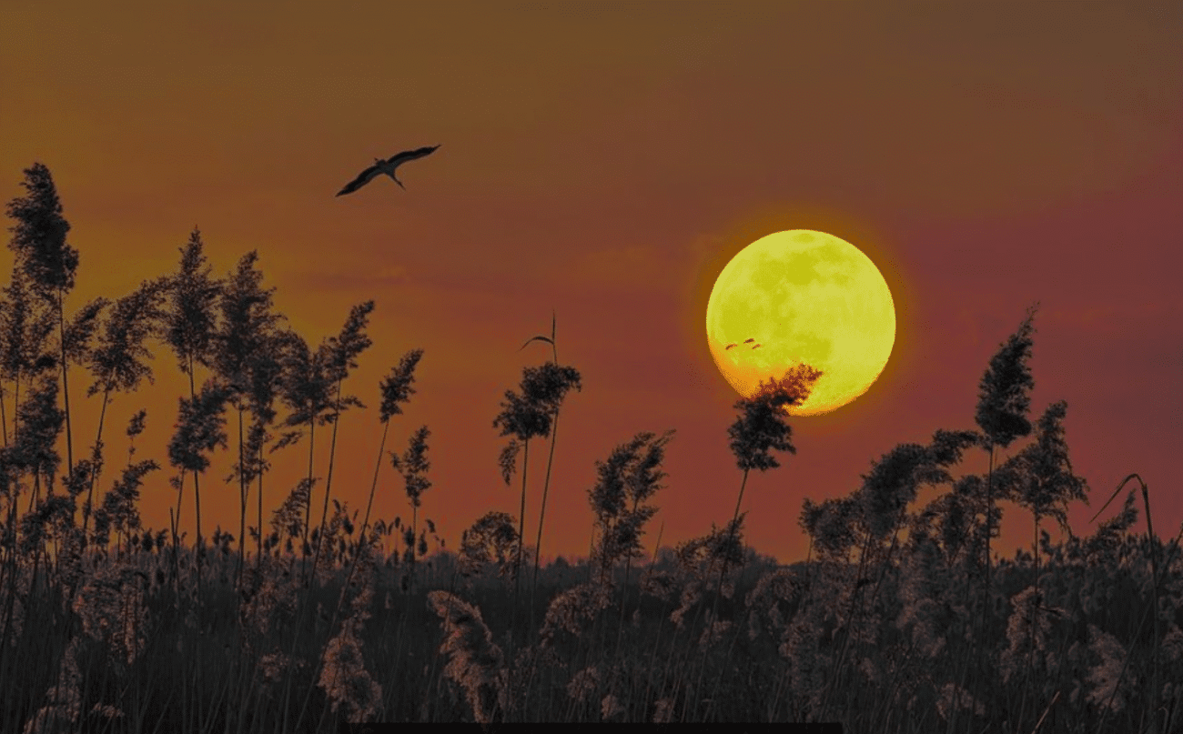 Жовтень 2025: місячний календар, народні прикмети та секрети, які змінять ваш місяць