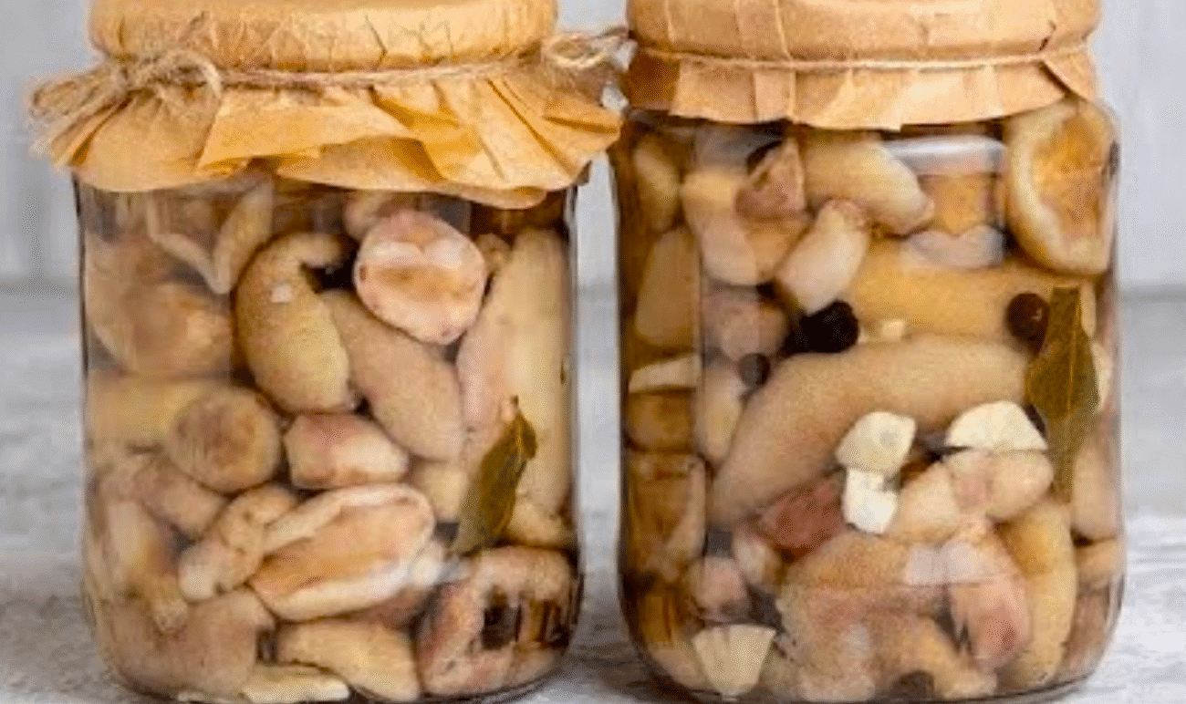 Мариновані гриби, які завжди виходять ідеально! Консервую так вже багато років