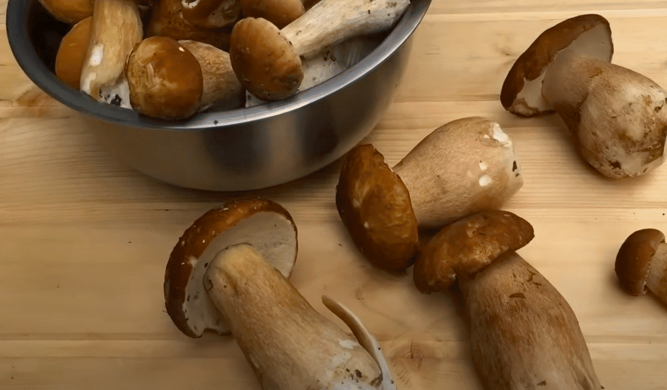 Мариновані гриби - Ідеальний маринад! Рецепт від Карпатського грибника, смакота