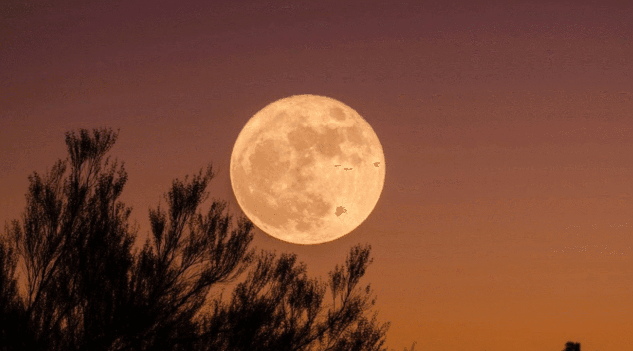 Сни під час повного місяця: що вони означають