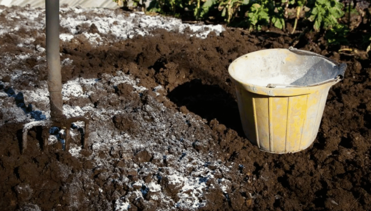 Простий спосіб, як визначити кислотність ґрунту на городі