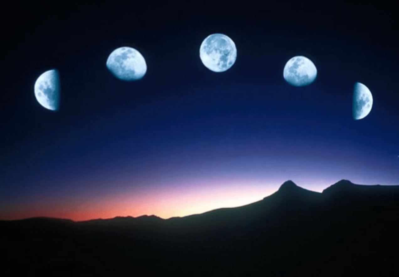 Місячний календар на листопад: сприятливі дні для покупок, стрижки й саду