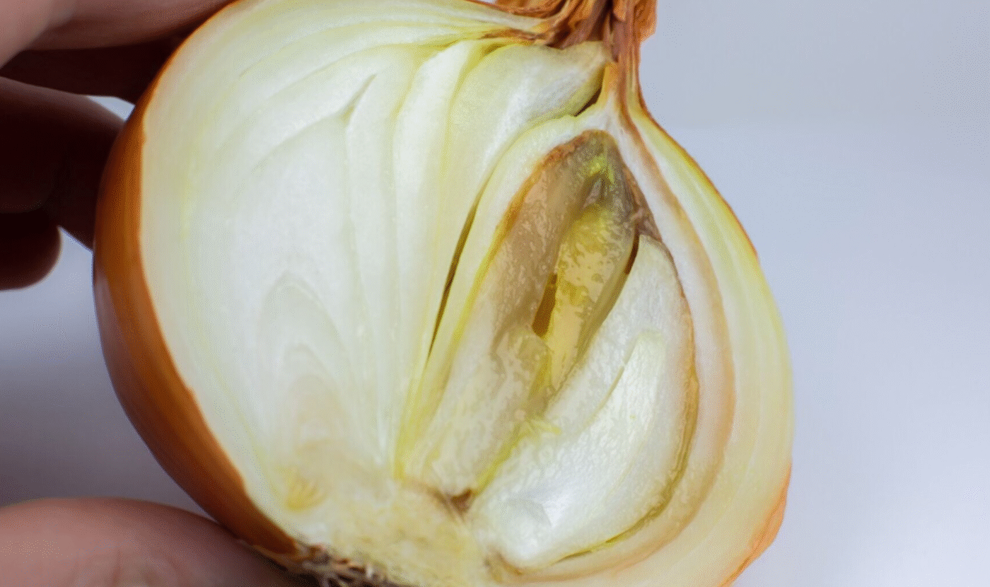 Цибуля гниє зсередини: прихована проблема і як її виправити