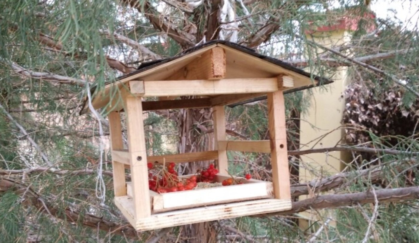 чим підгодувати птахів взимку