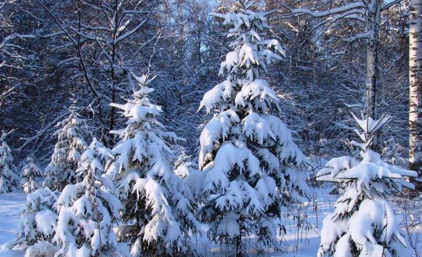 Зимові явища, які виглядають містично, але мають наукове пояснення