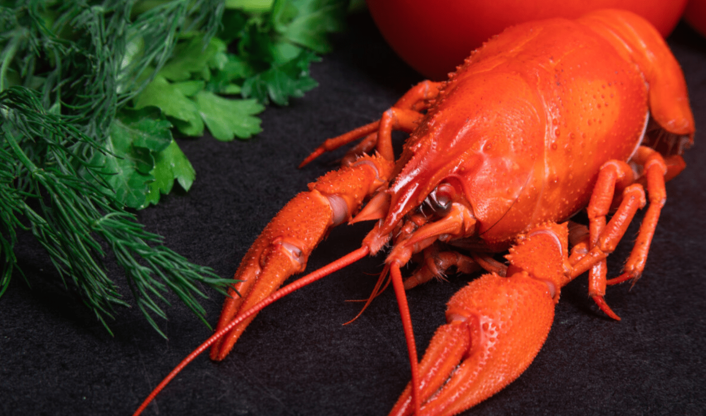 Чому після раків організм реагує інакше - пояснення просте