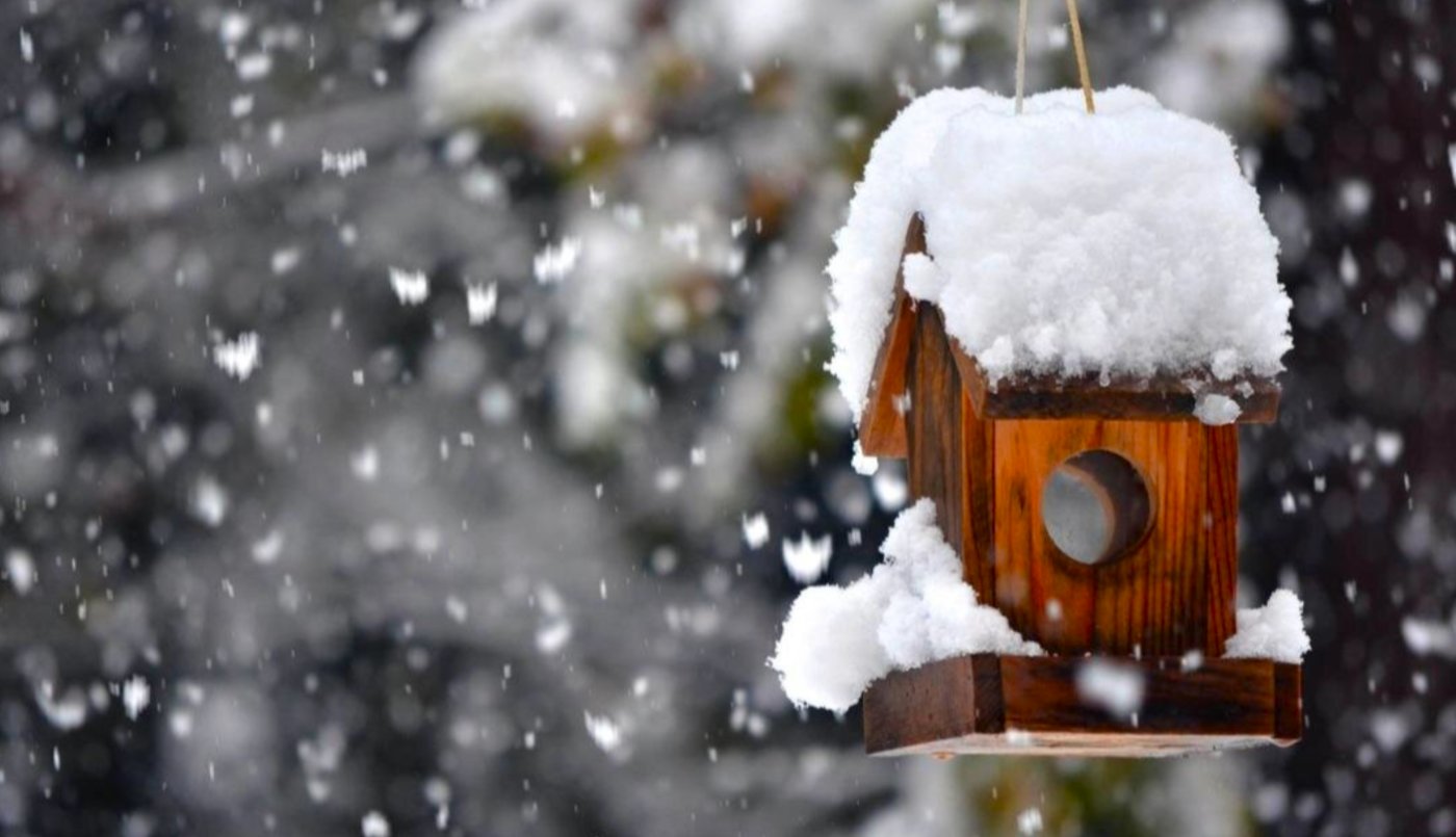 Погода на лютий 2026 в Україні: скажена погода шокує всю країну - морози та снігопади чи аномальне тепло