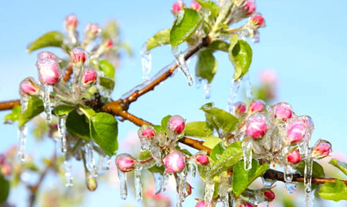 Погода на весну 2026 в Україні різко змінюється: синоптики оновили прогноз - коли буде тепло і чи затягнеться похолодання