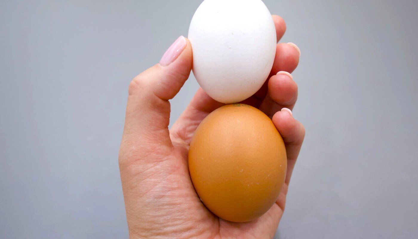 Чим замінити м'ясо, молоко та яйця в рецептах - шпаргалка для посту