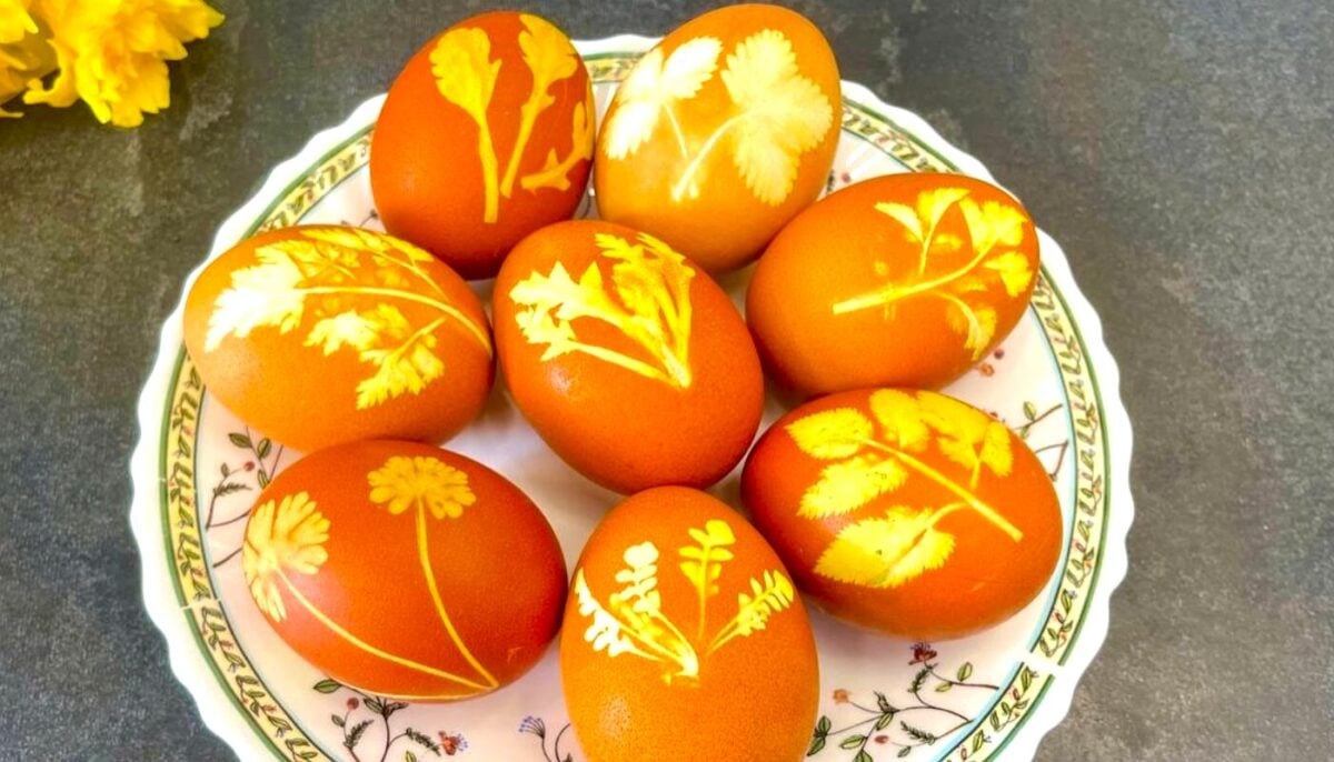 Ніякої хімії - тільки лушпиння і листочки: традиційний бабусин розпис крашанок на Великдень