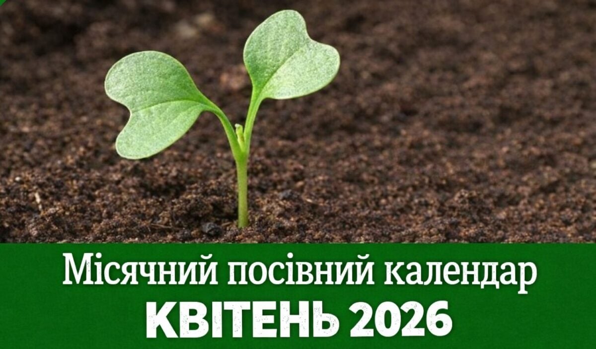 Місячний календар на квітень 2026: коли садити, сіяти і працювати на городі