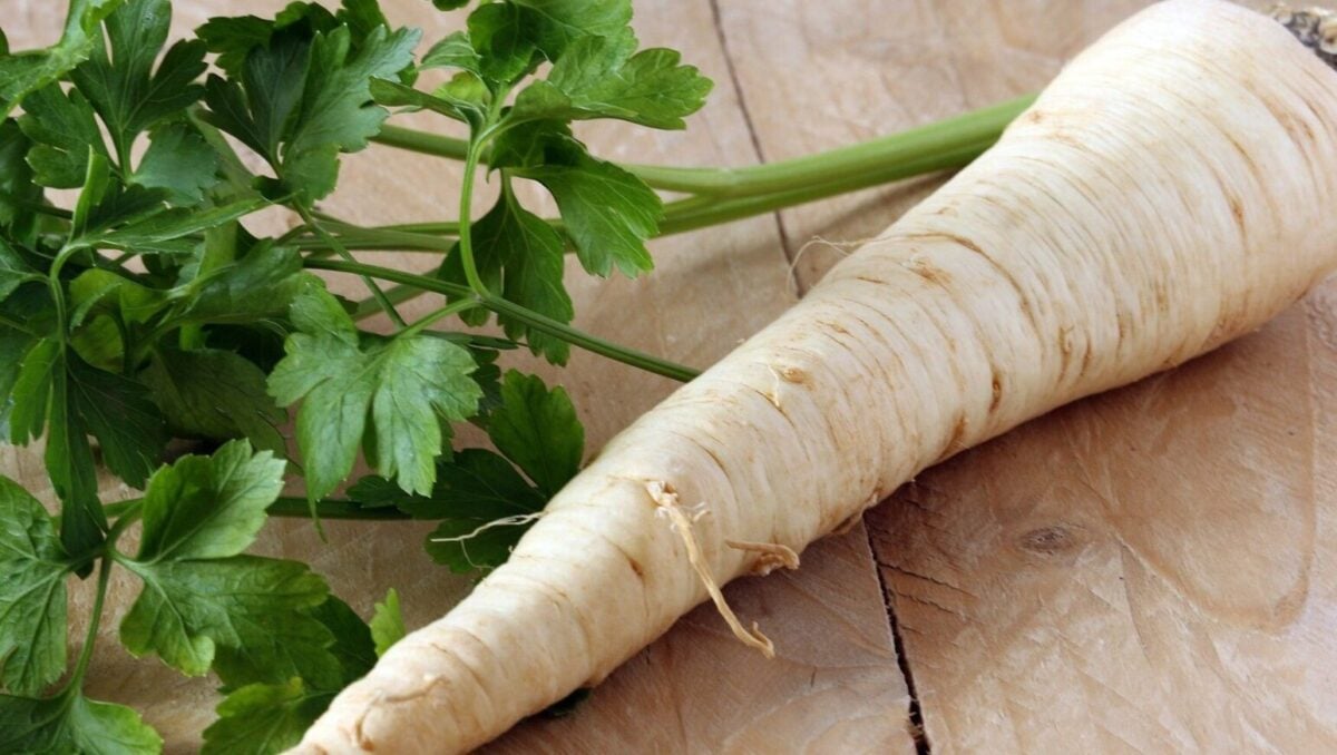 Не тільки для міцності: Чому хрін - обов’язковий гість у великодньому кошику?