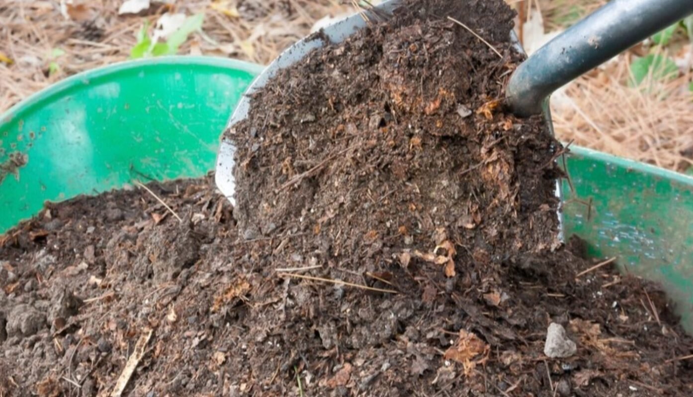 чим підживлюю картоплю при посадці