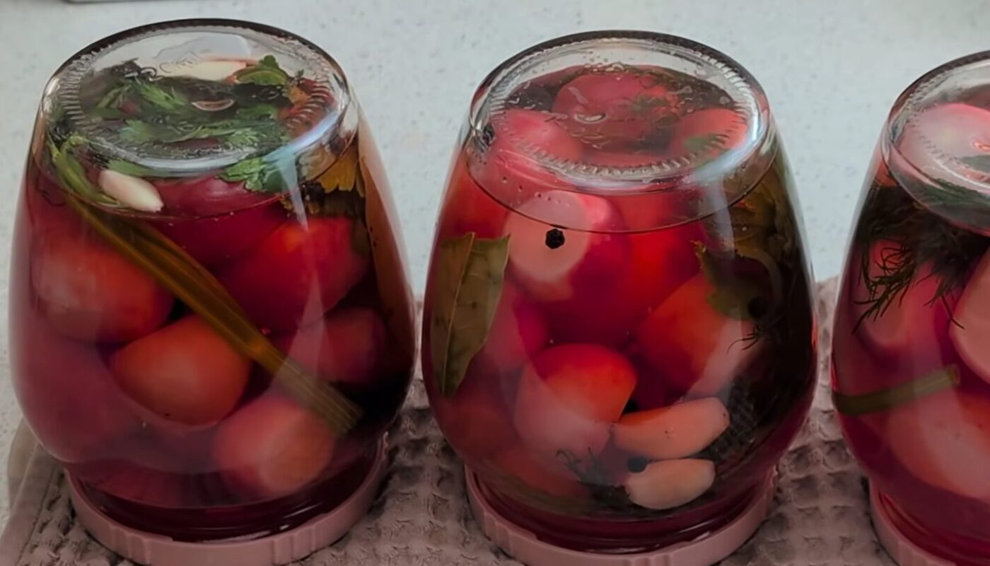 консервована редиска