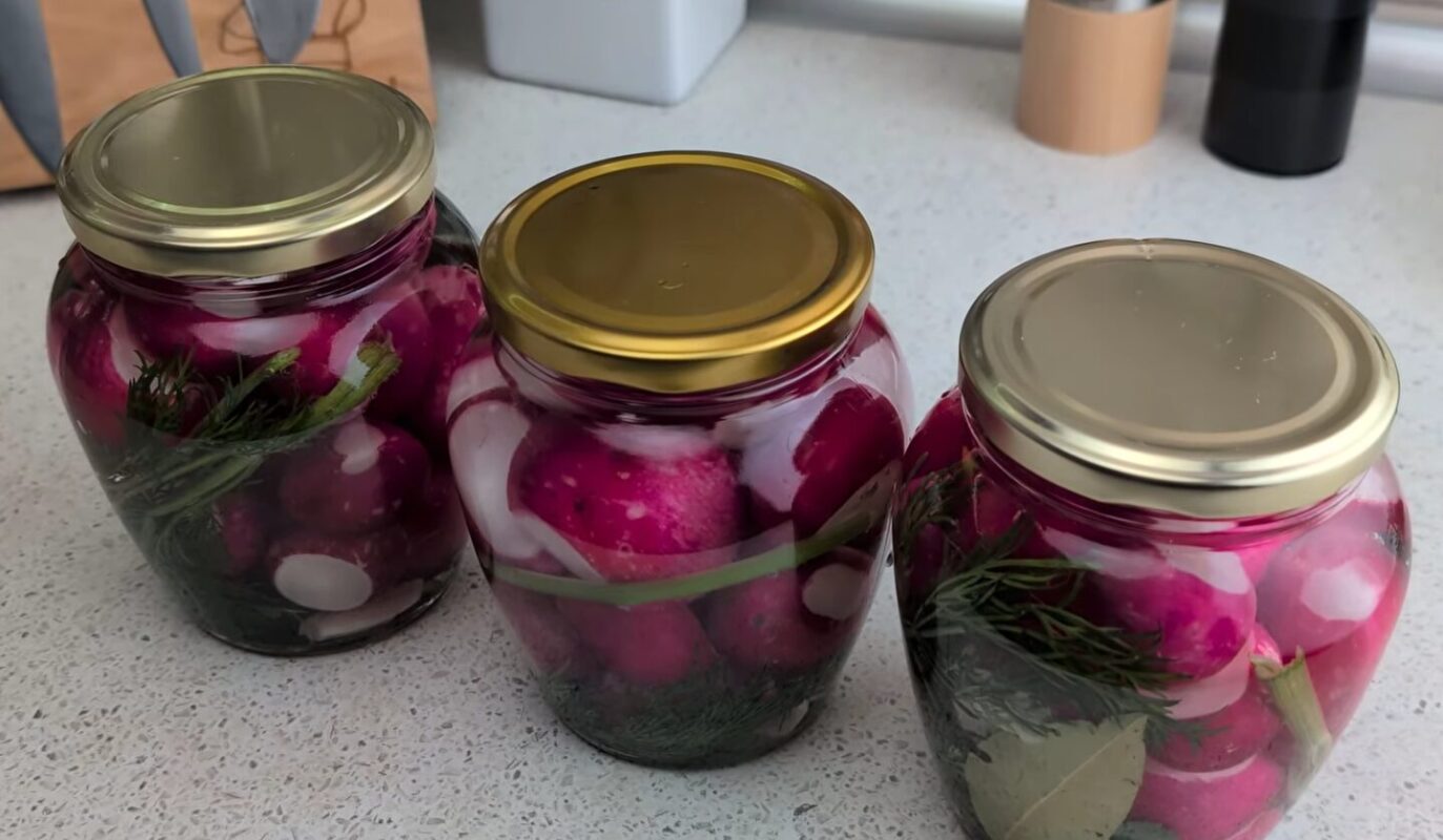 Консервована редиска