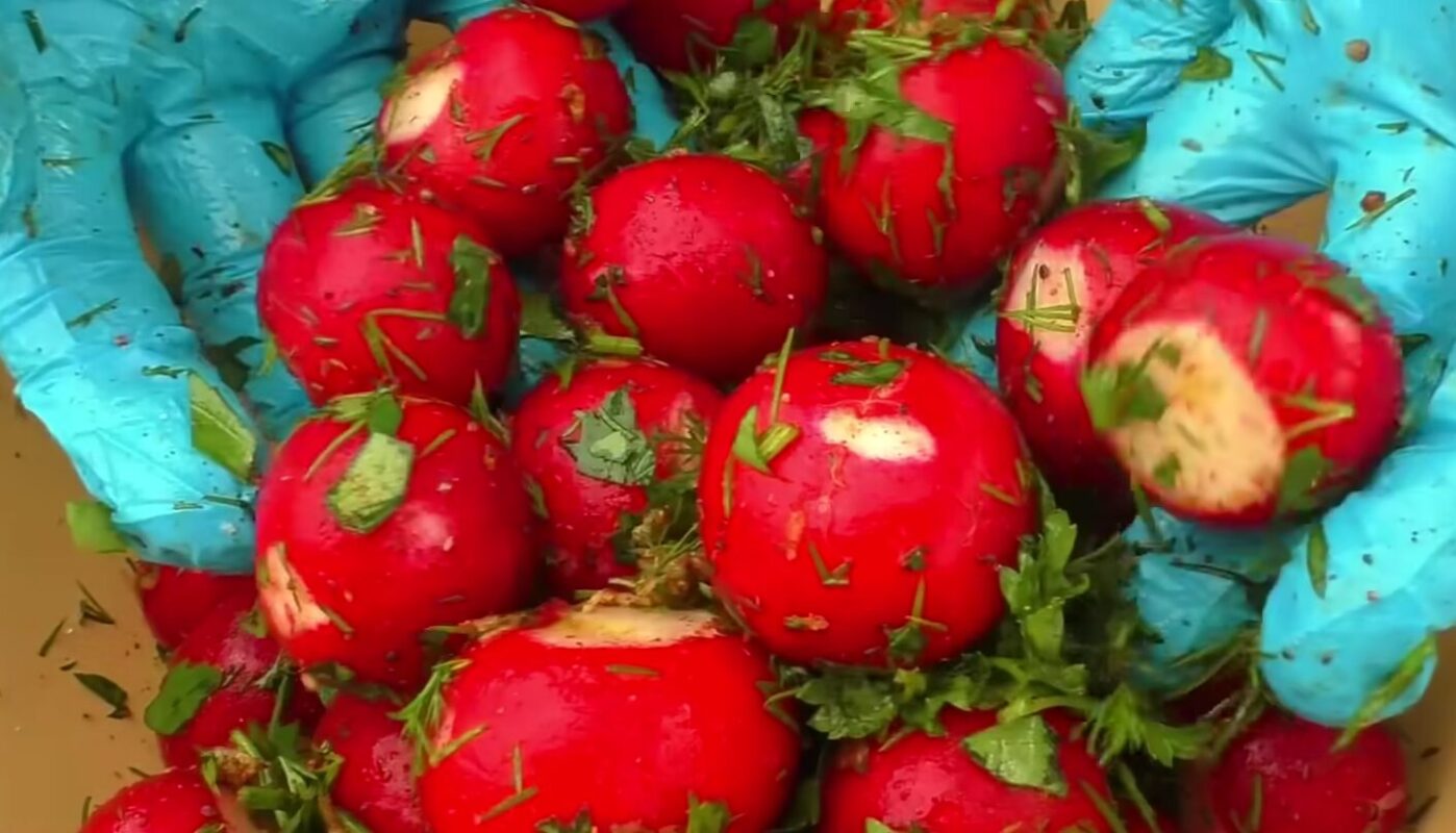 квашена редиска в власному соку без оцту