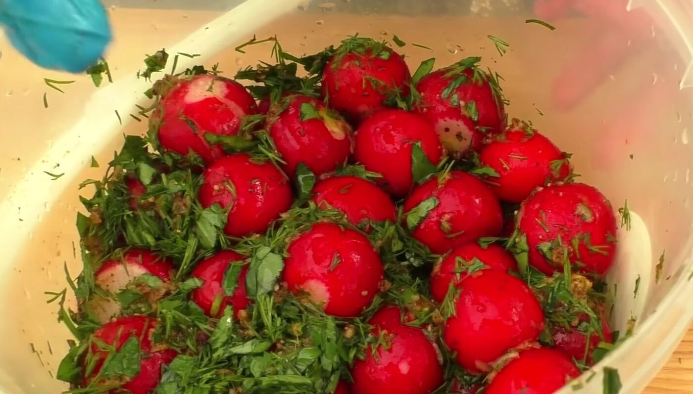 квашена редиска в власному соку без оцту