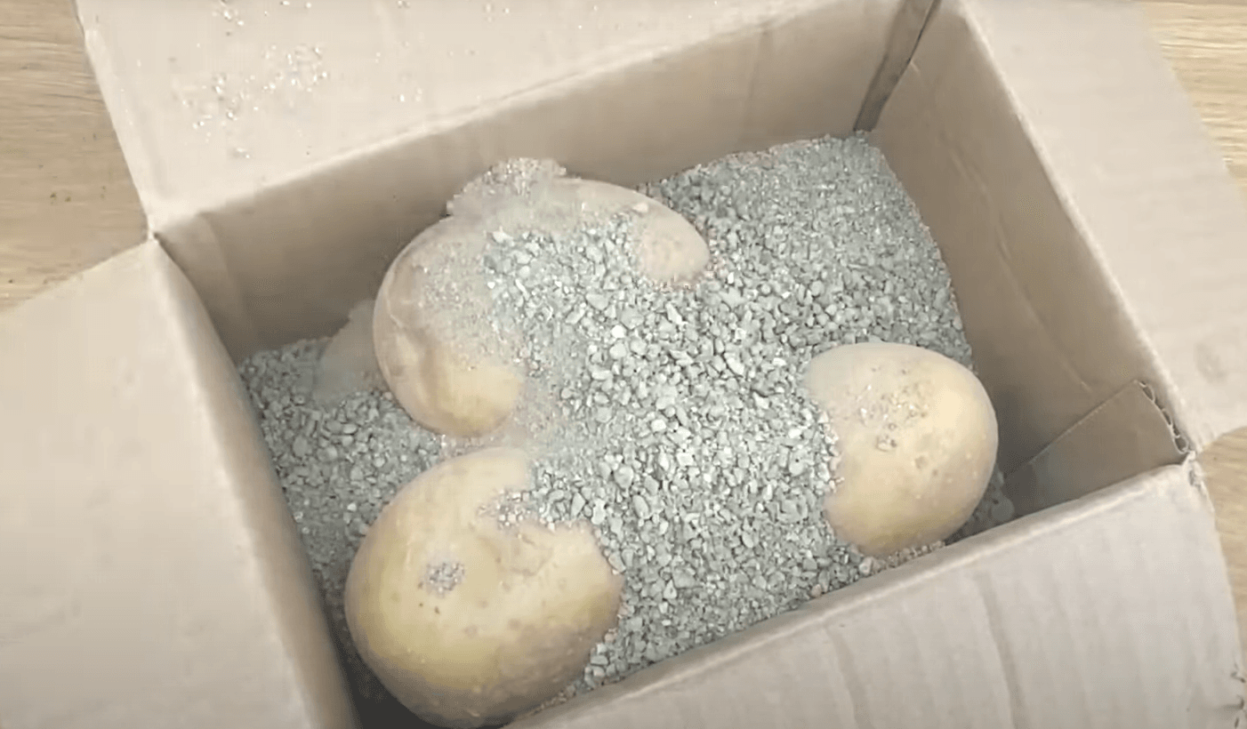 зберігання картоплі