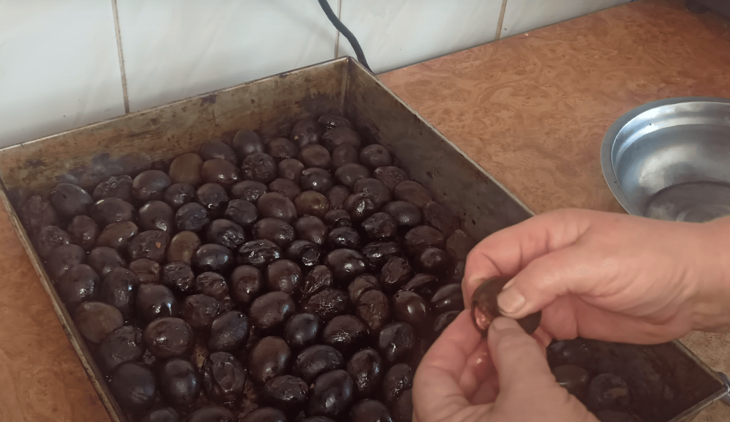 чорнослив домашній