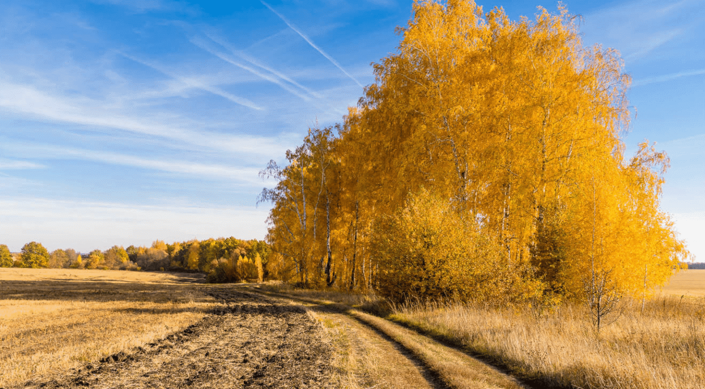 Жовтень здивує! Чи чекати бабине літо цього року?