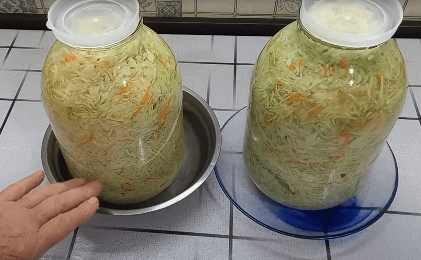 квашена капуста на зиму