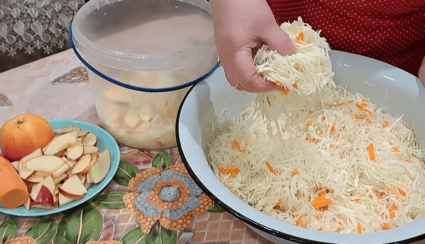 квашена капуста