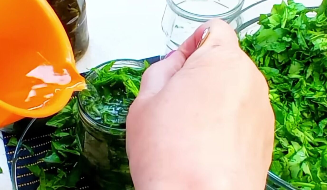 щавель на зиму рецепт