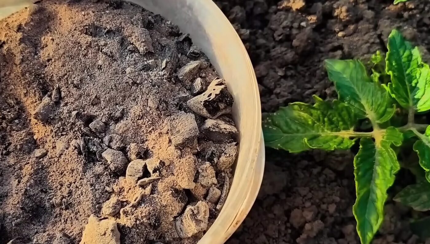 Чим замінити кальціву селітру