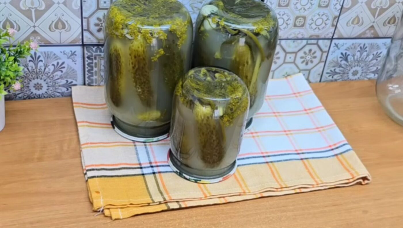 квашені огірки на зиму як з бочки хрумкі