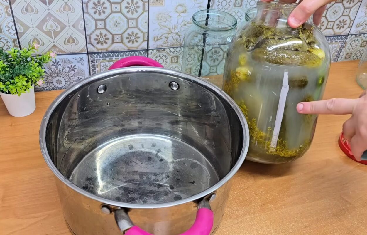 квашені огірки на зиму як з бочки хрумкі